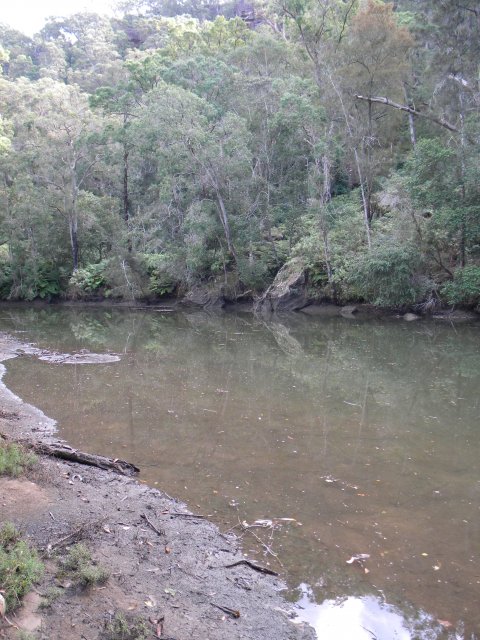 Marramarra creek, near Biddy Lewis' holding